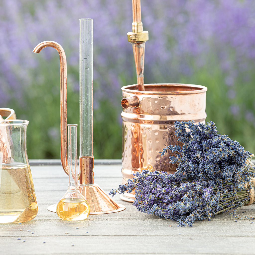 THE MAGIC OF DISTILLATION: THE JOURNEY FROM THE PLANT TO THE ESSENTIAL OIL BOTTLE